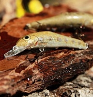  Woblery Bobrzańskie